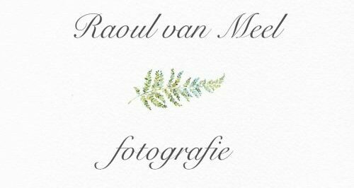logo fotograaf nijmegen