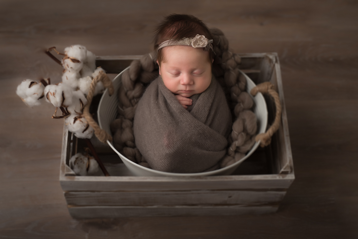 newbornshoot Druten