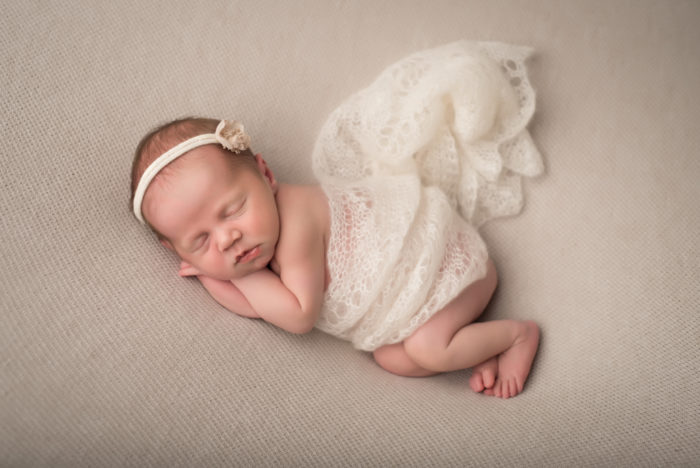 newbornshoot brabant